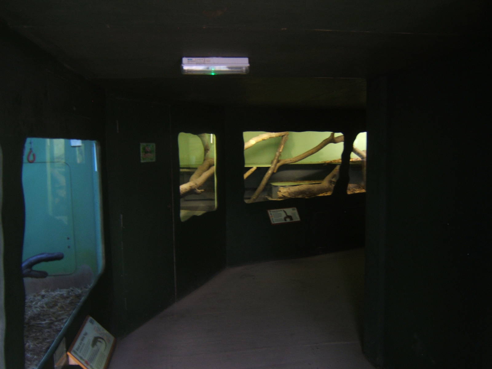 View of some reptile exhibits under the walk way inside the Tropical House