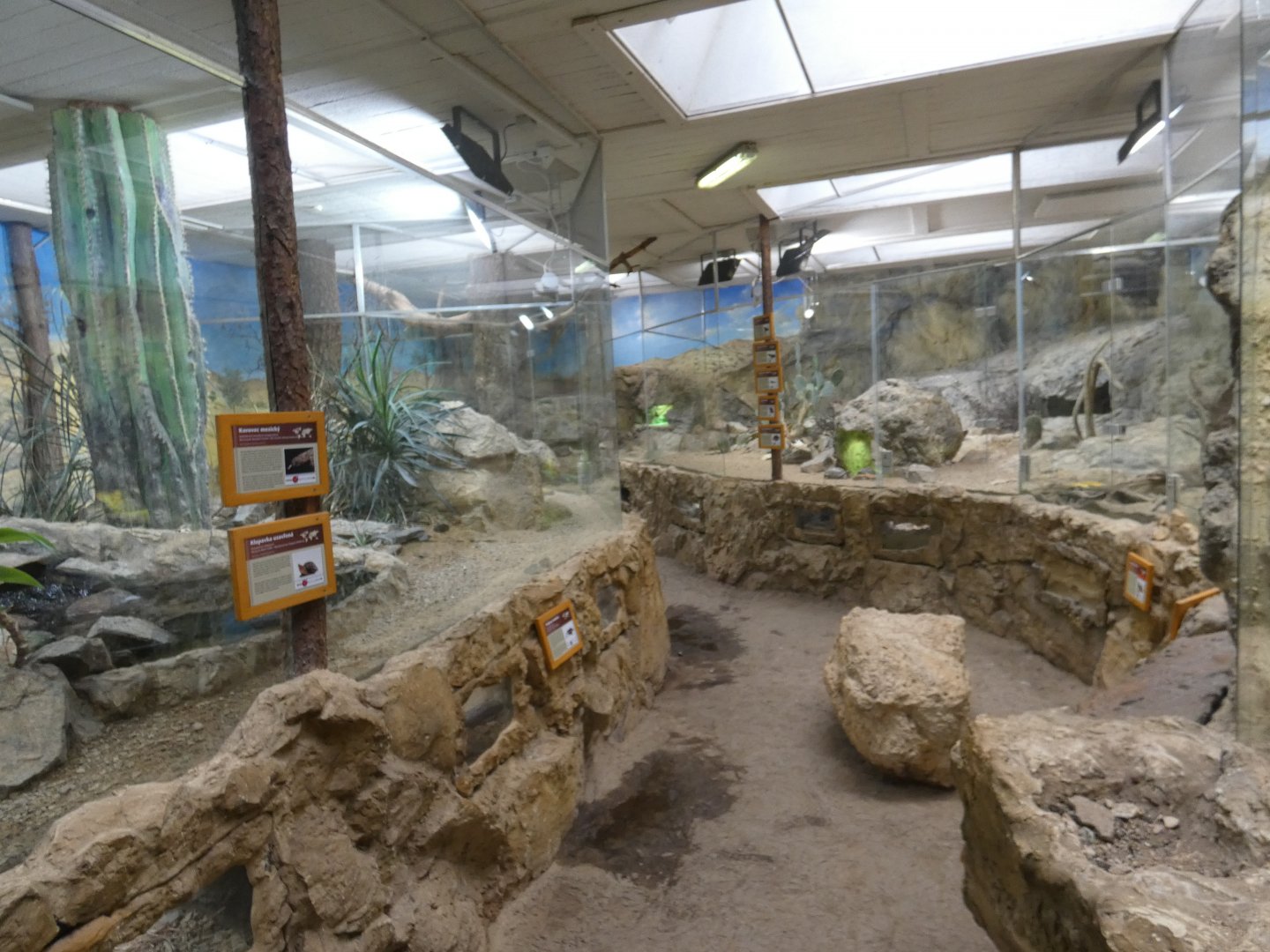 View of Sonora house