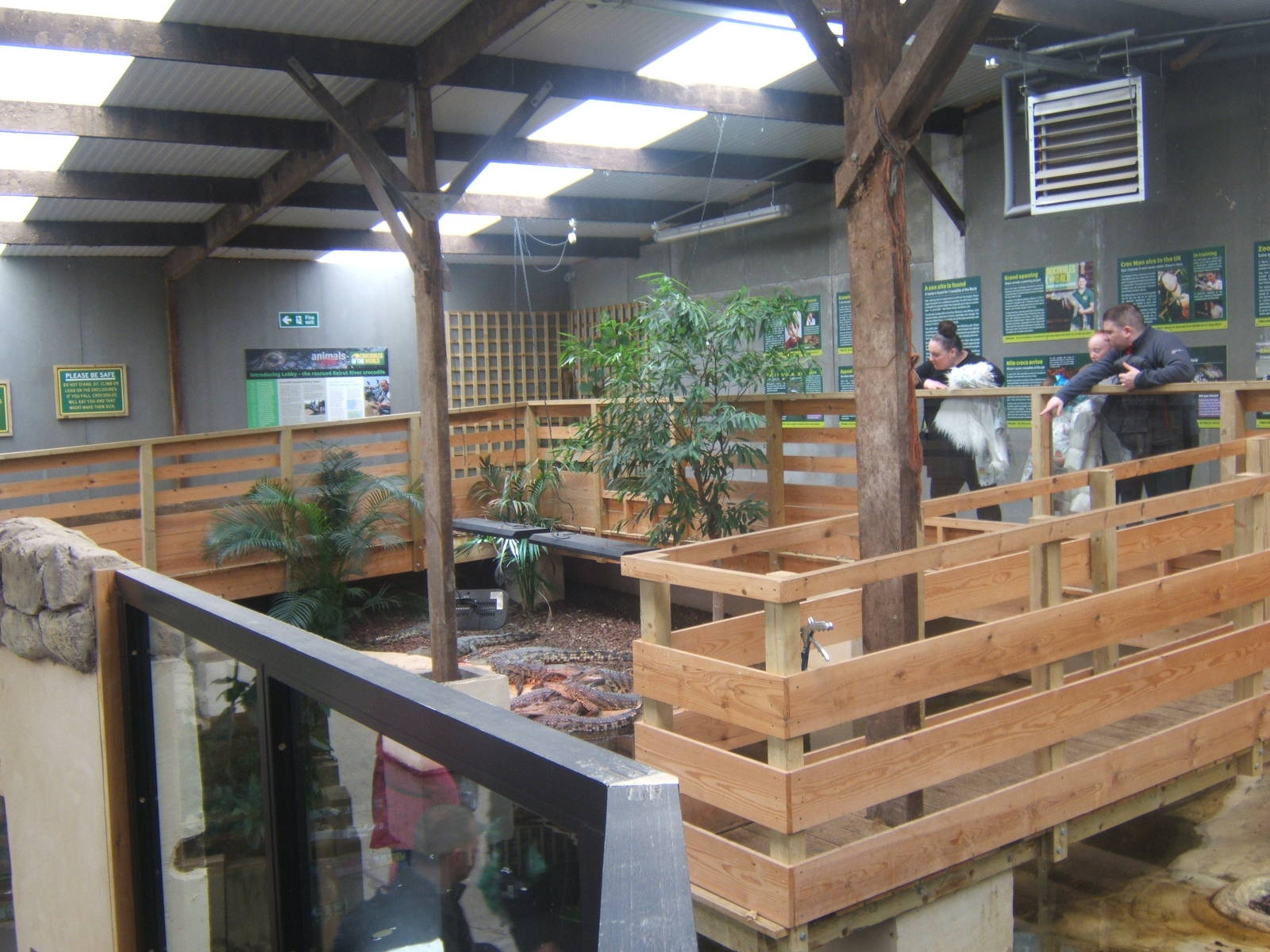 View of South African Nile Crocodile exhibit