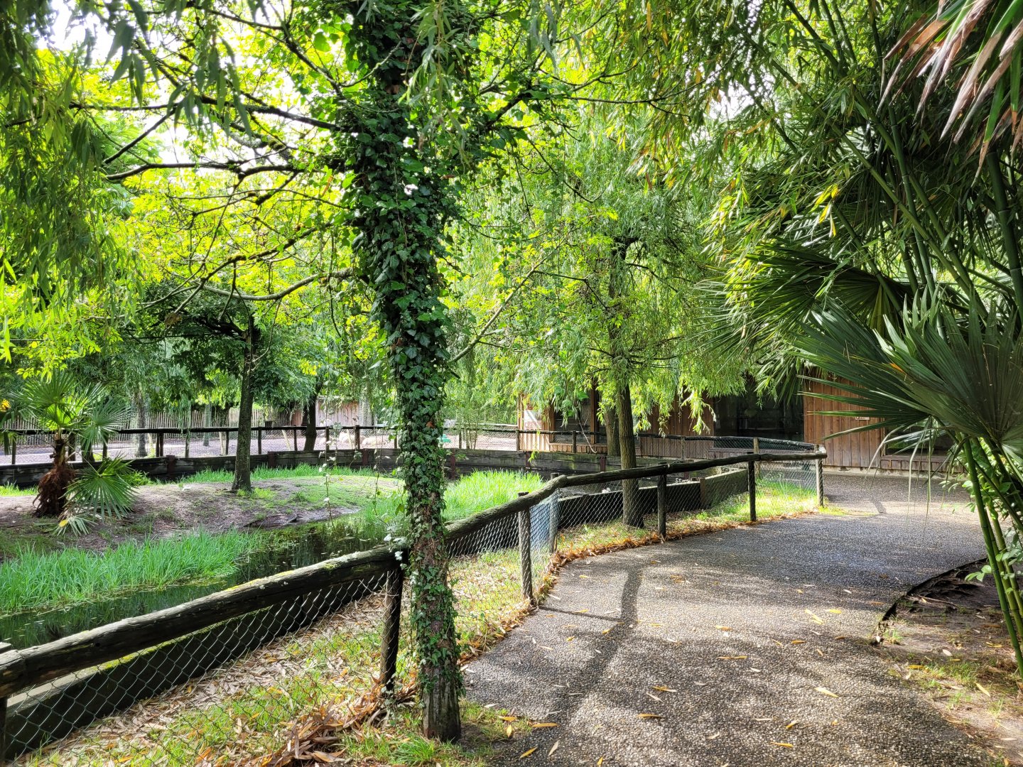 View of South American area -Zoo du bassin d'Arcachon (2024)