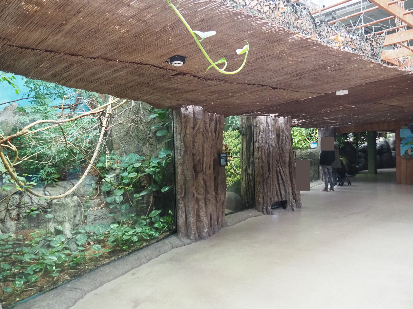 View of South American terrarium exhibits (Nov 10th, 2018)