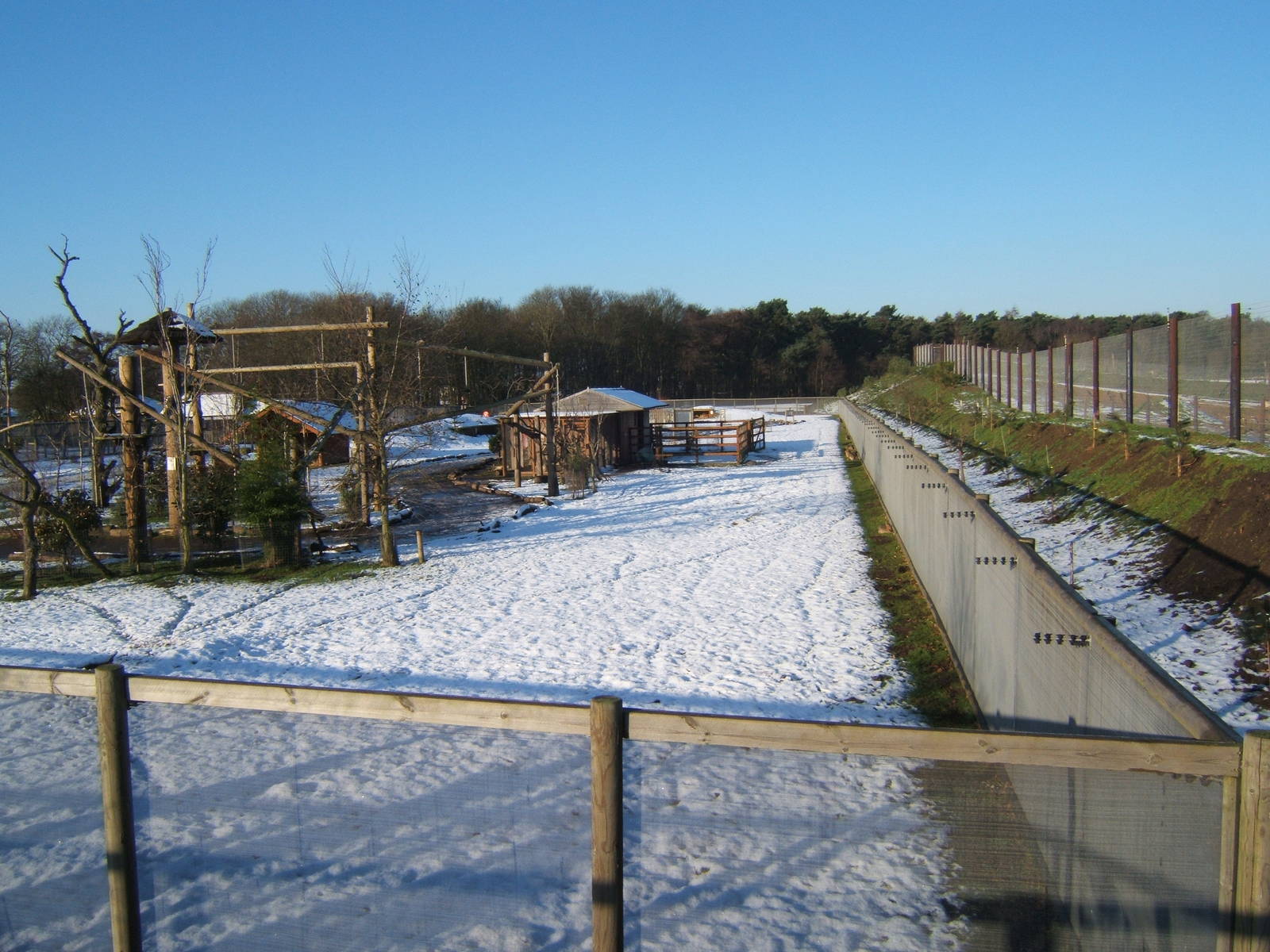 View of South American walk through