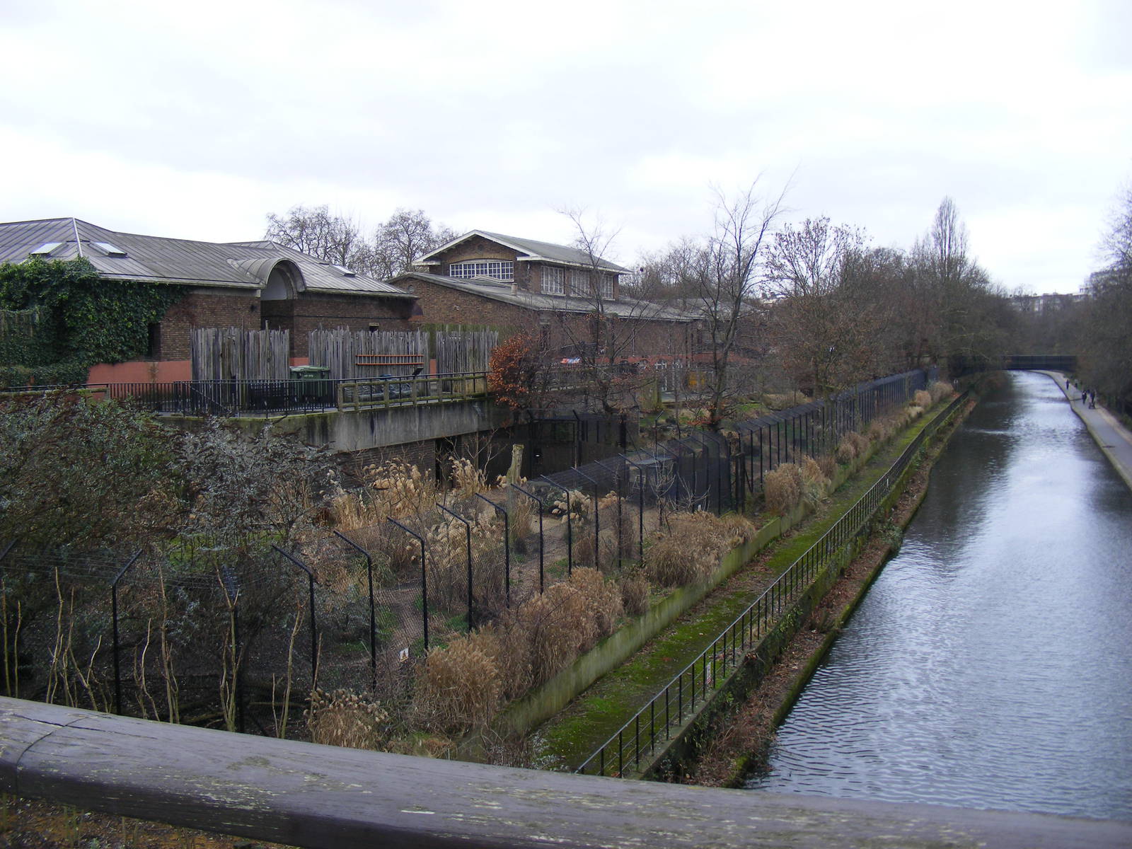 View of South Bank houses/enclosures at London Zoo, 15 January 2011