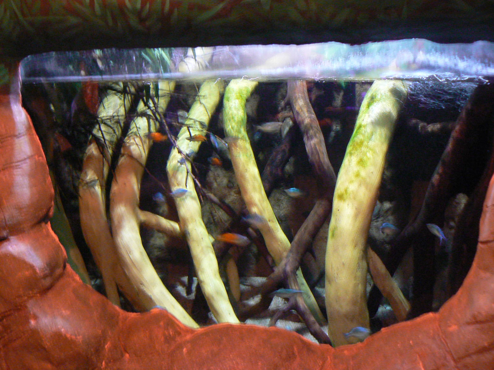 View of Southeast Asian Aquarium - 1 October 2016