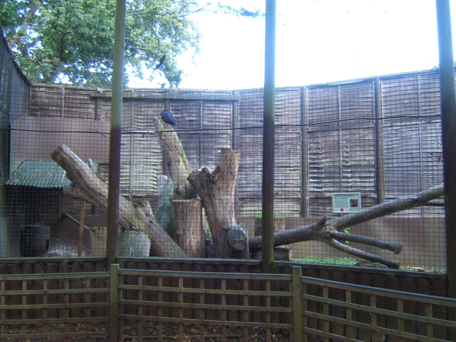 View of Southern Ground Hornbill Aviary