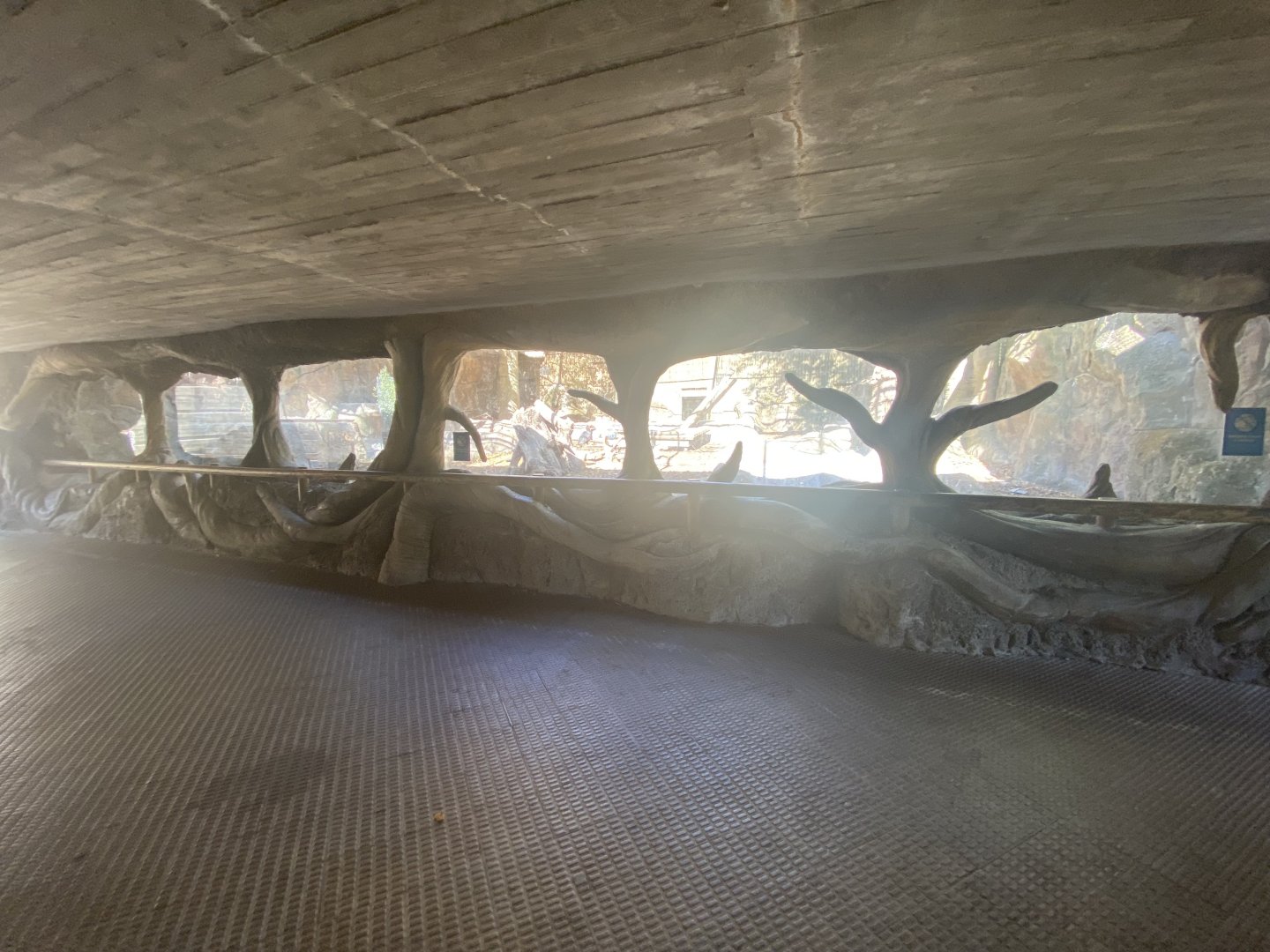 View of Southern ground hornbill enclosure