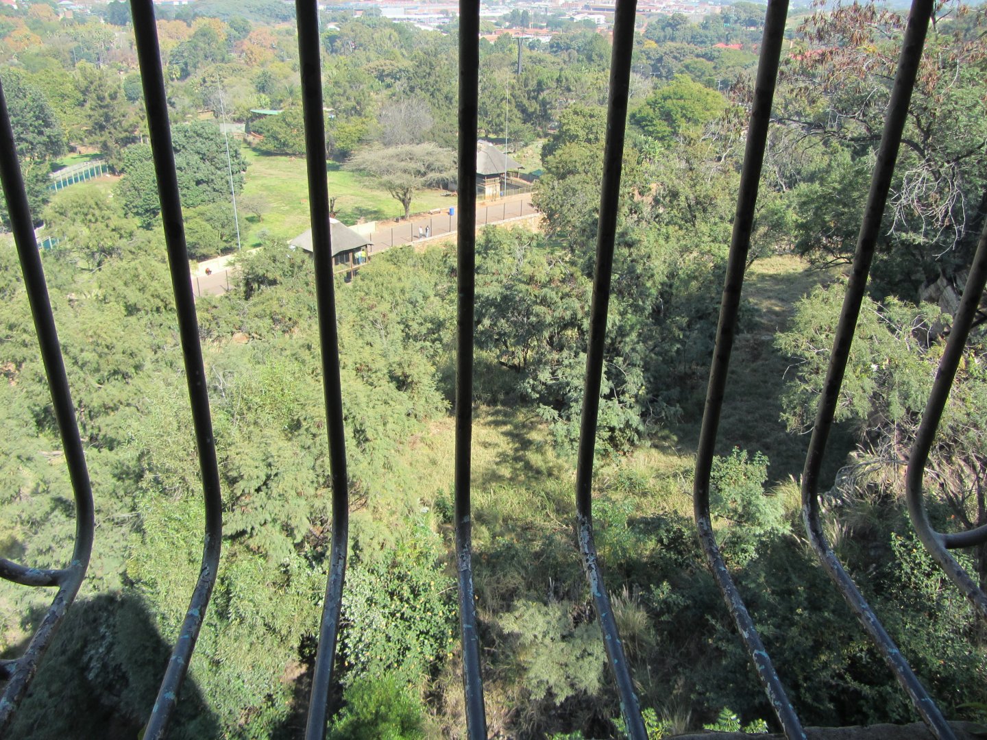 View of Southern Lion Exhibit from Above