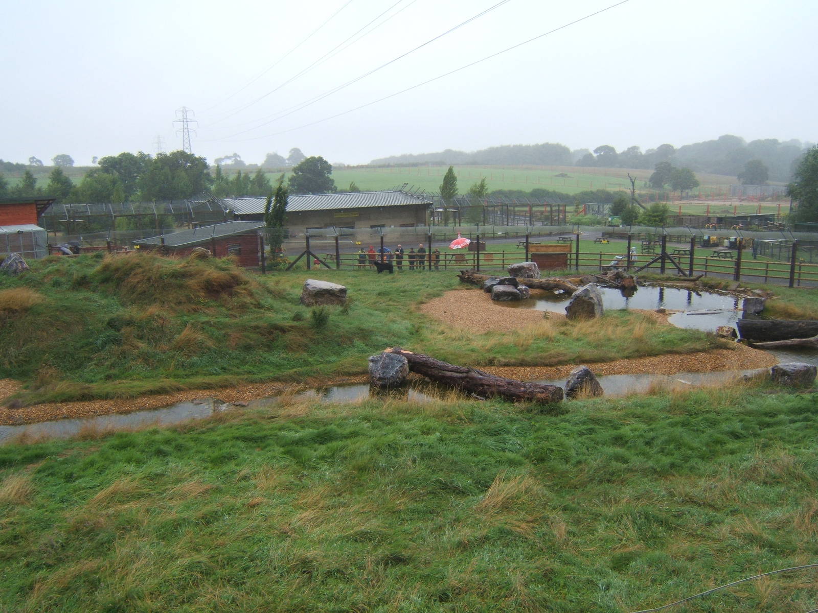 View of Spectacled Bear enclosure