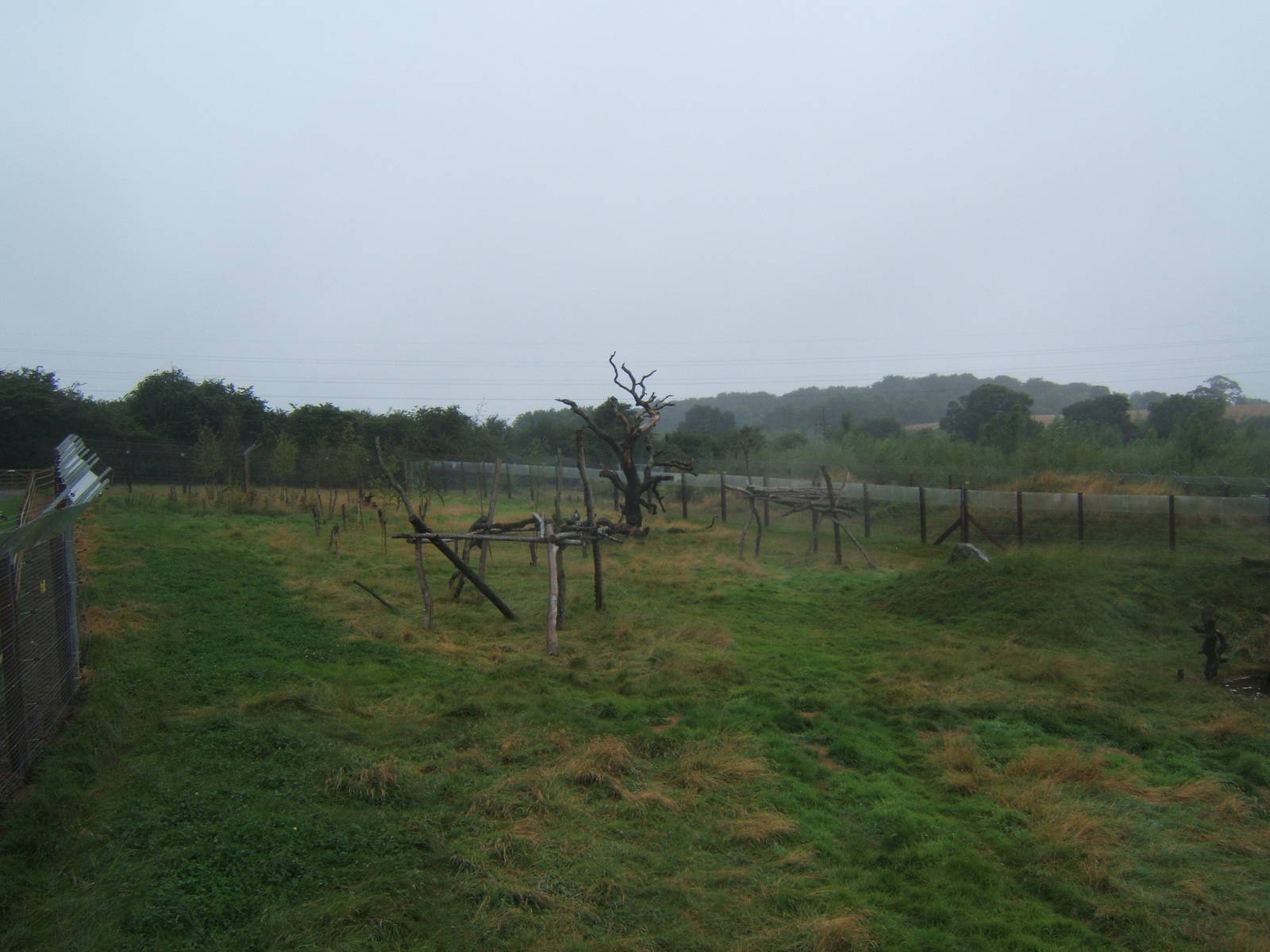 View of Spectacled Bear enclosure