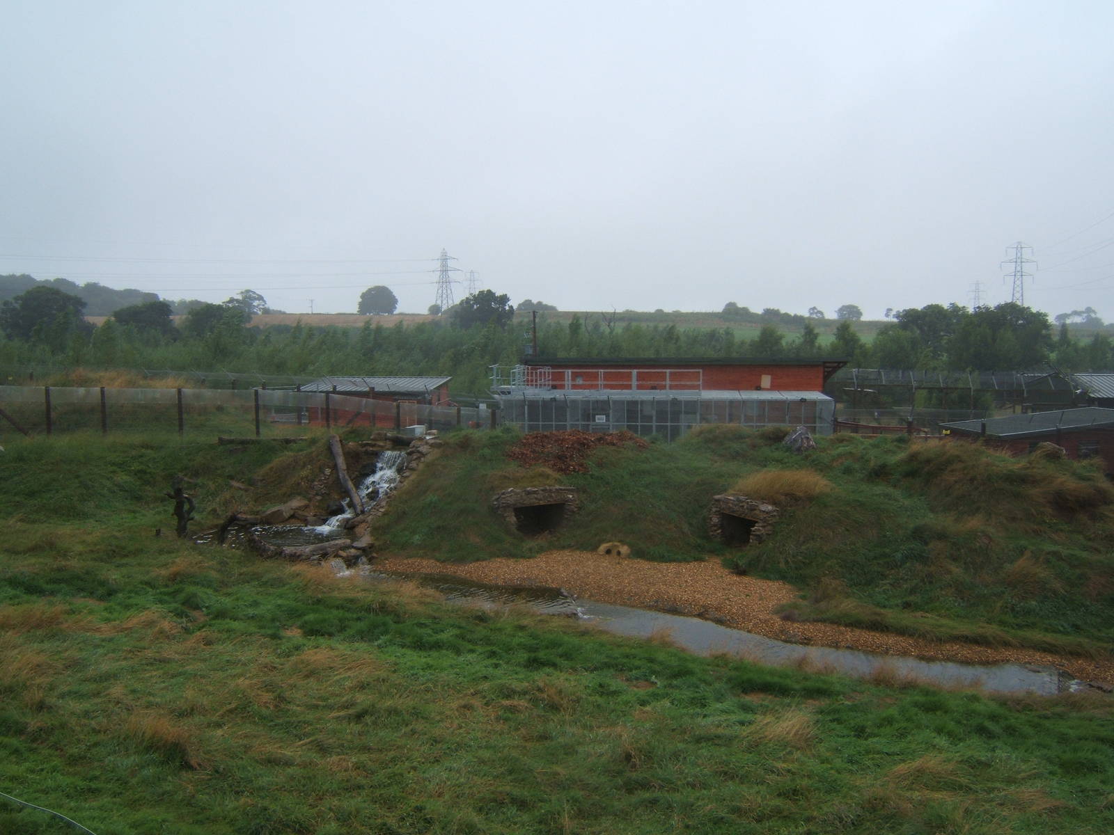 View of Spectacled Bear enclosure