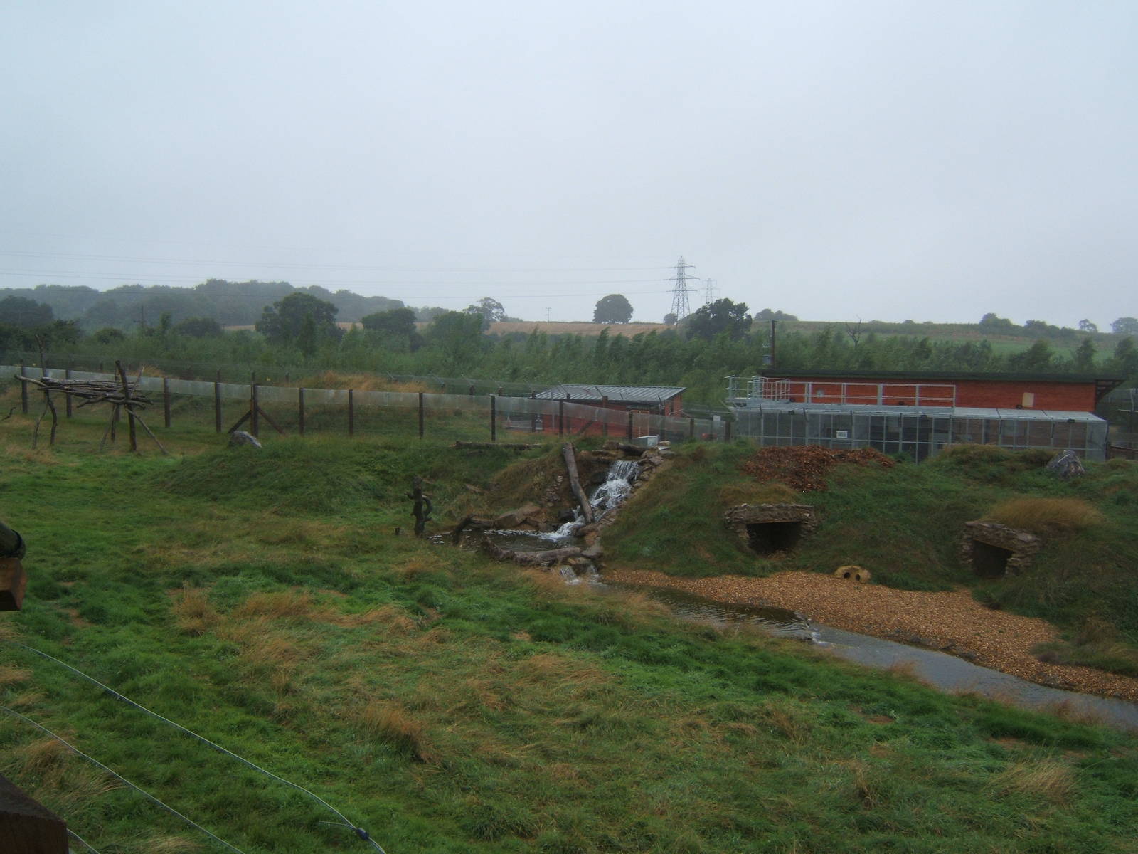 View of Spectacled Bear enclosure