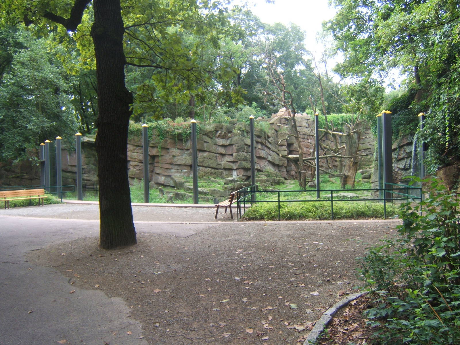 View of Spectacled Bear exhibit