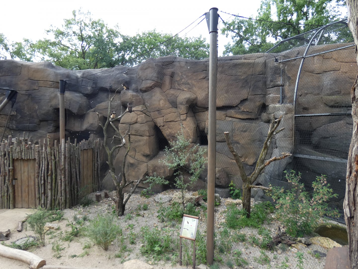 View of Spectacled Owl Aviary