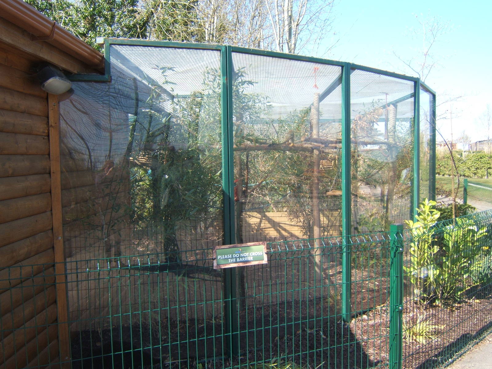 View of Sqirrel Monkey enclosure