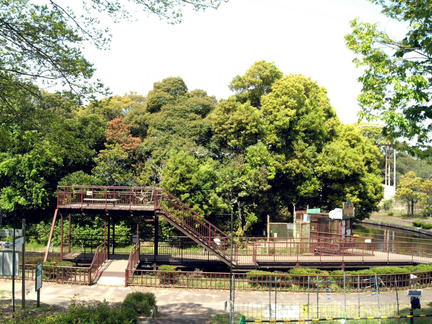 View of squirrel monkey island