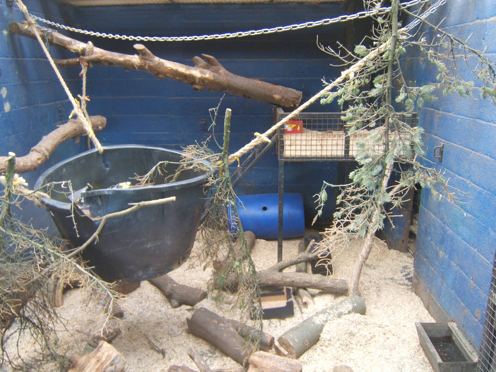 View of Sri Lankan Sloth Bear indoor dens