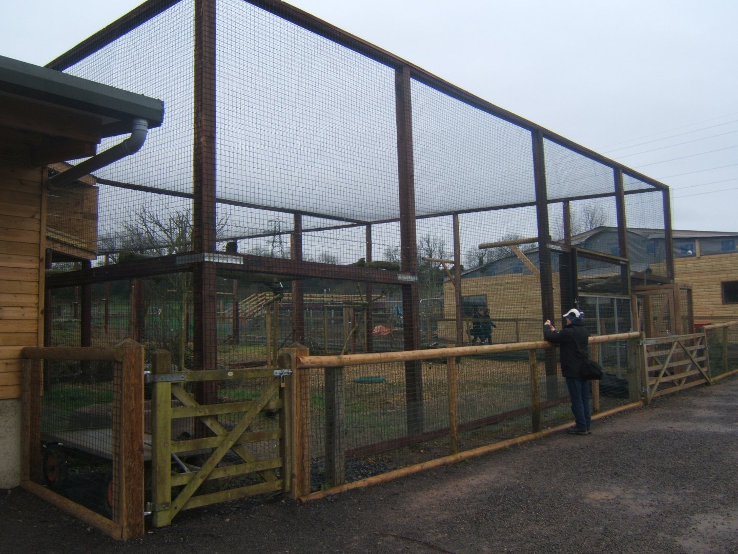 View of Stellar's Sea Eagle 03/02/2018