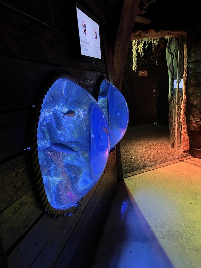 View of submarine style tanks 8.7.24