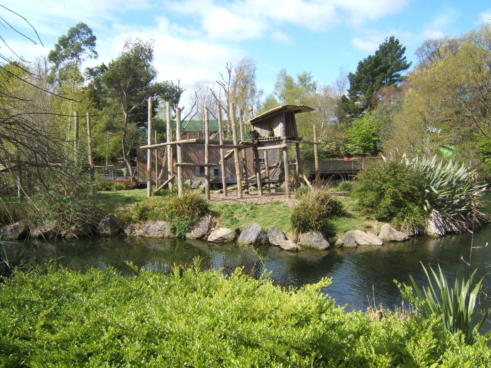 View of Sulawesi Macaques Island