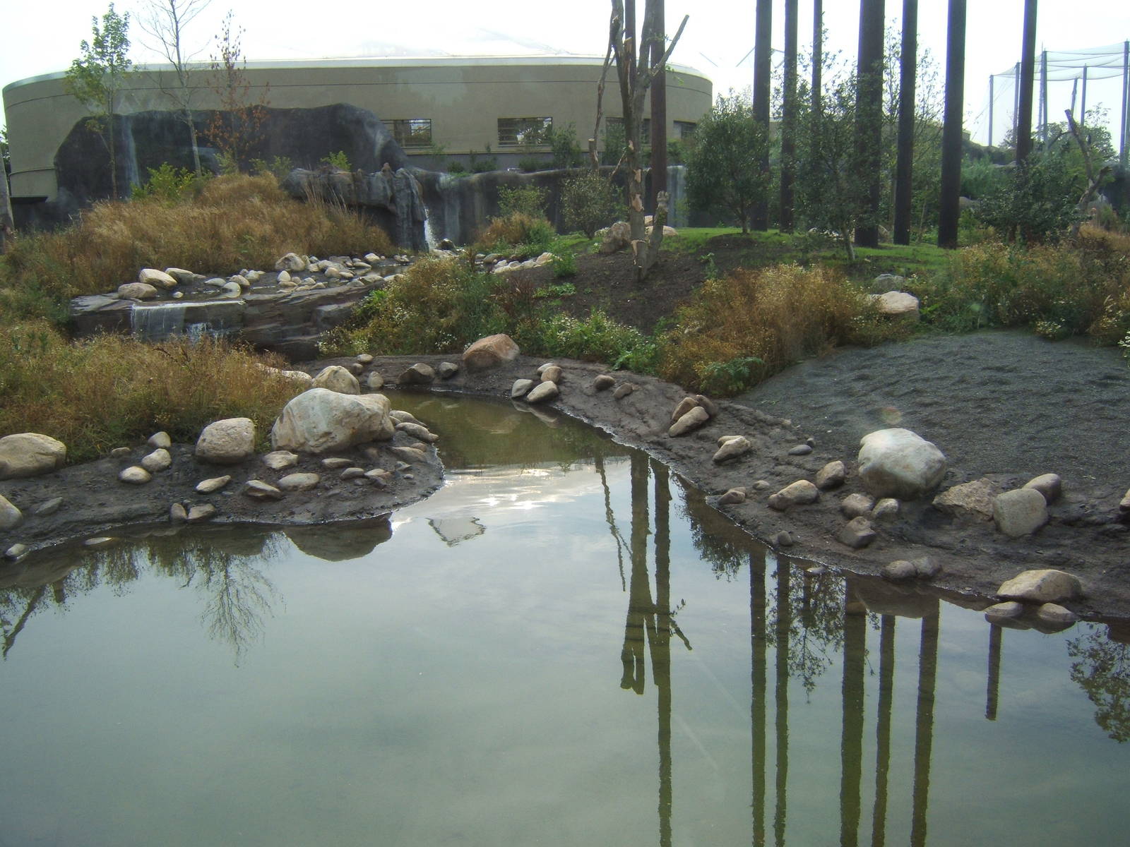 View of Sulawesi Macaques outdoor exhibit