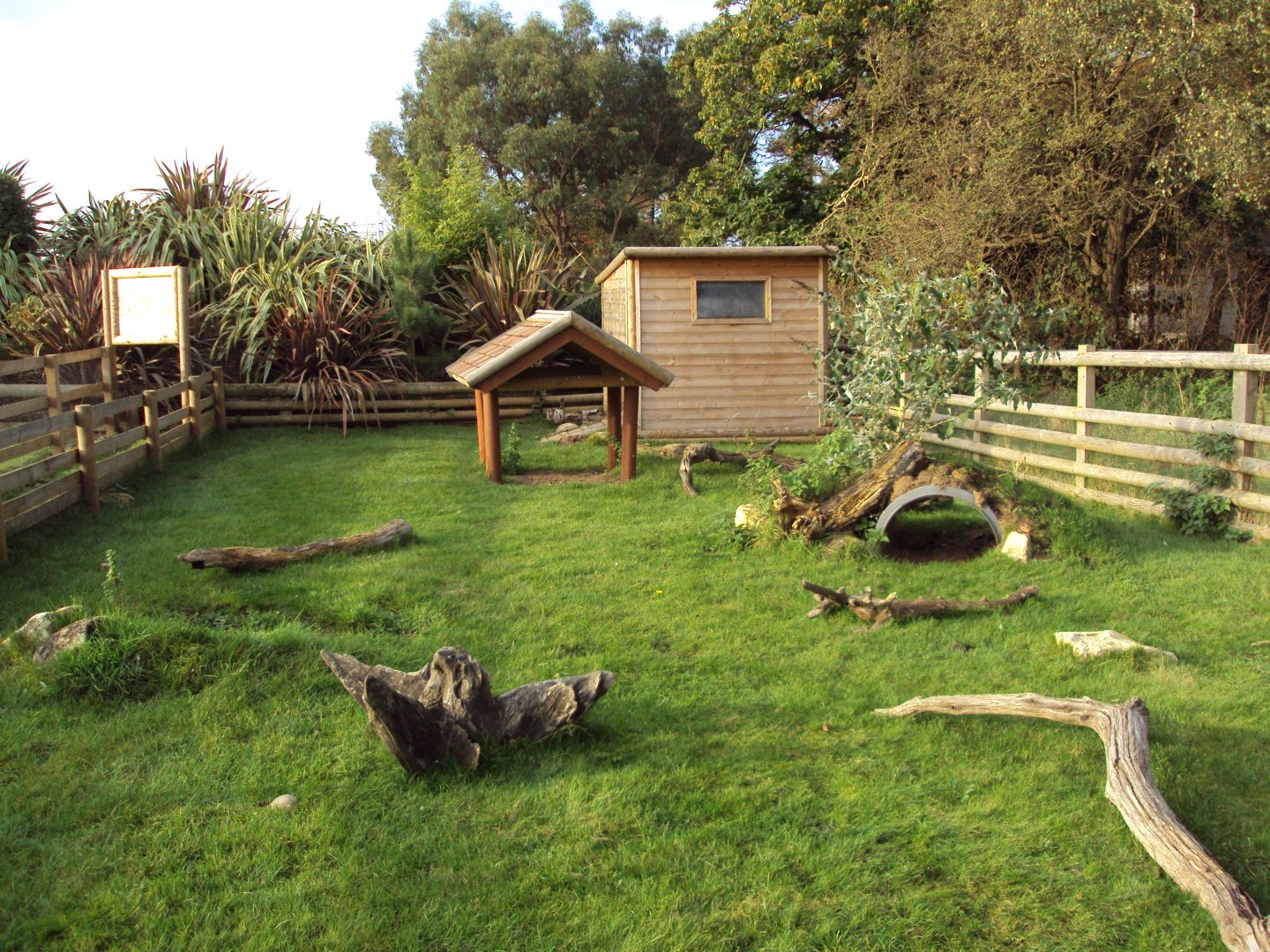 View of Sulcatta enclosure 30/10/2019