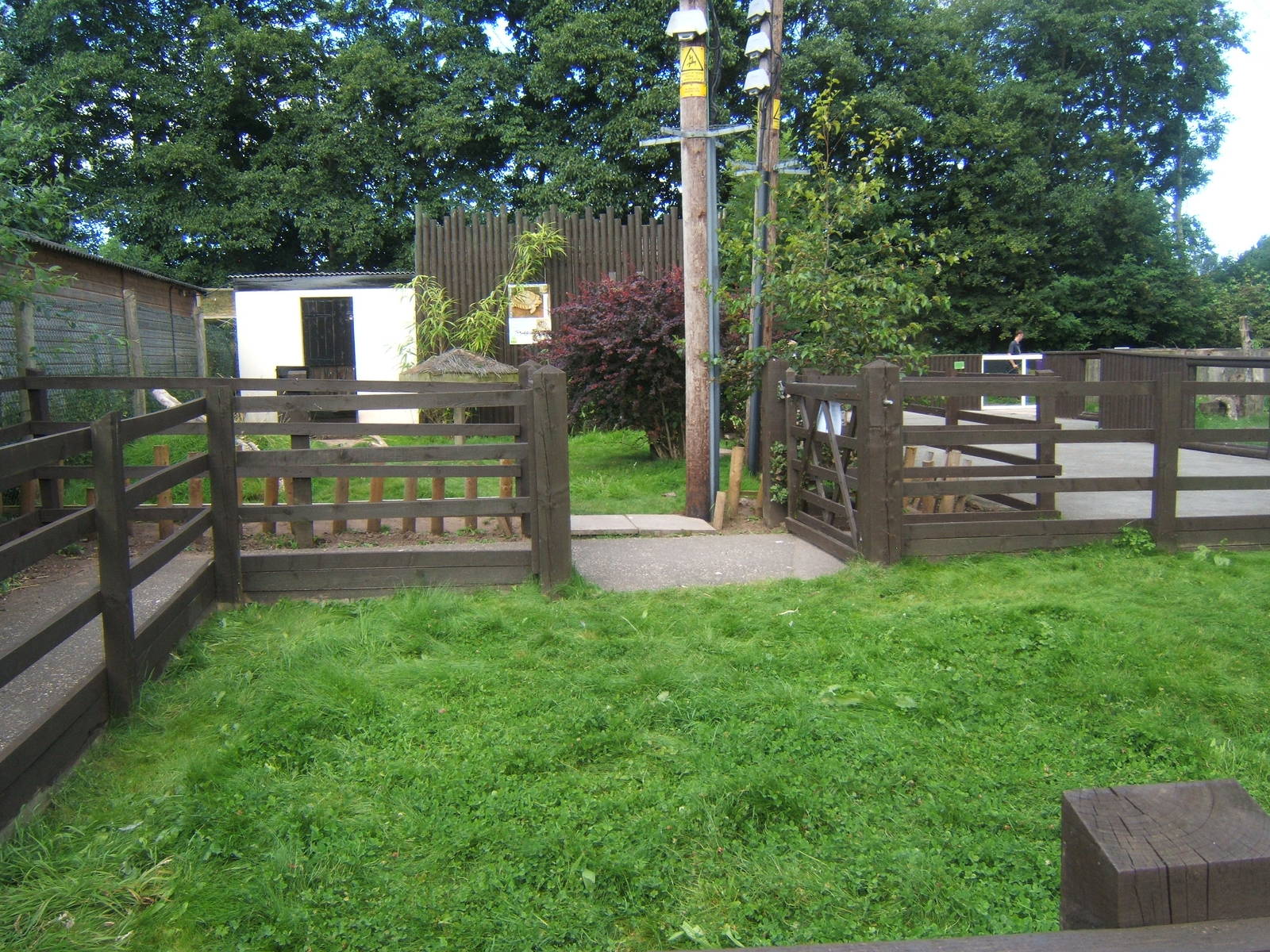 View of Sulcatta enclosure