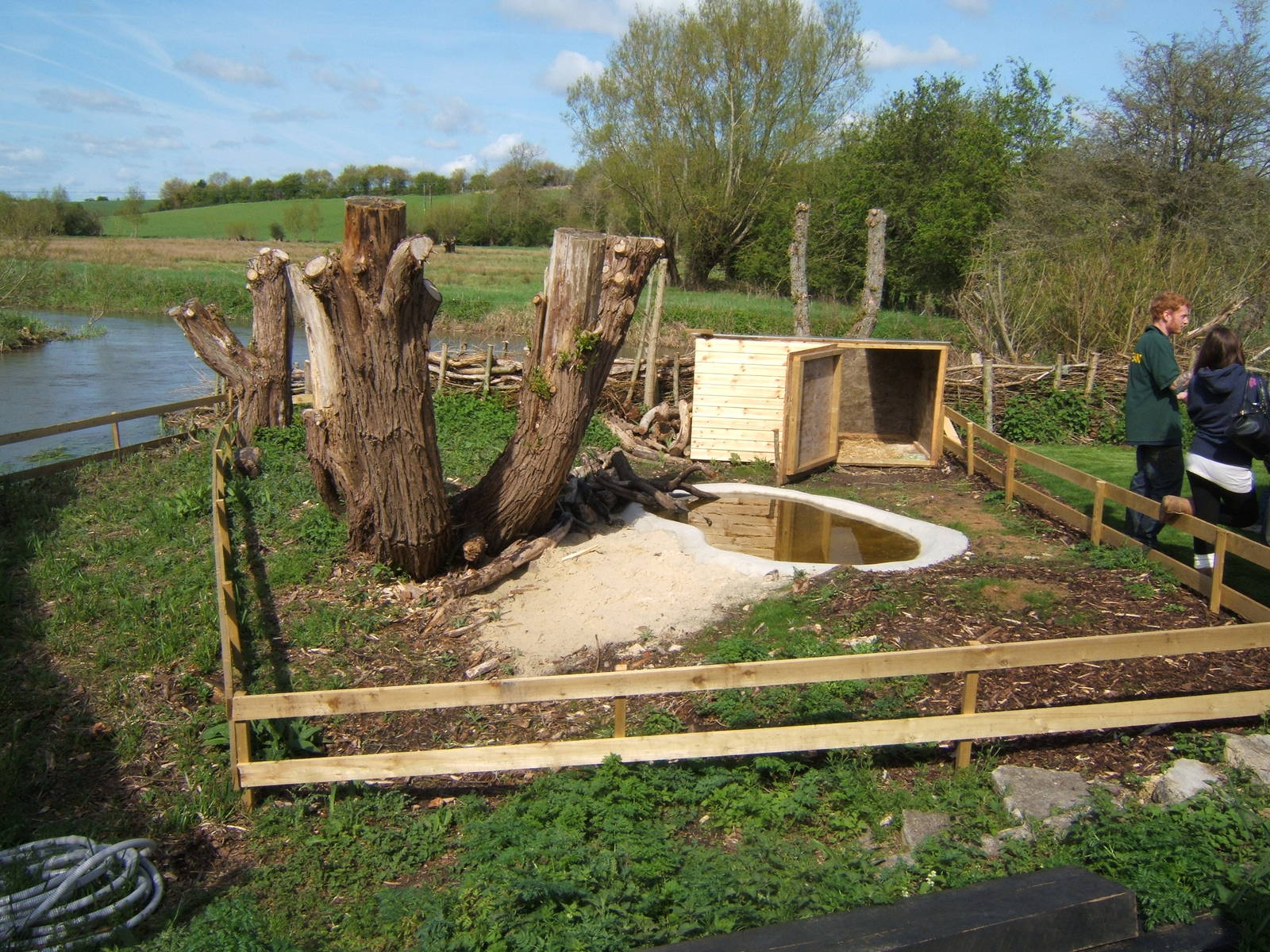 View of Sulcatta Tortoise exhibit