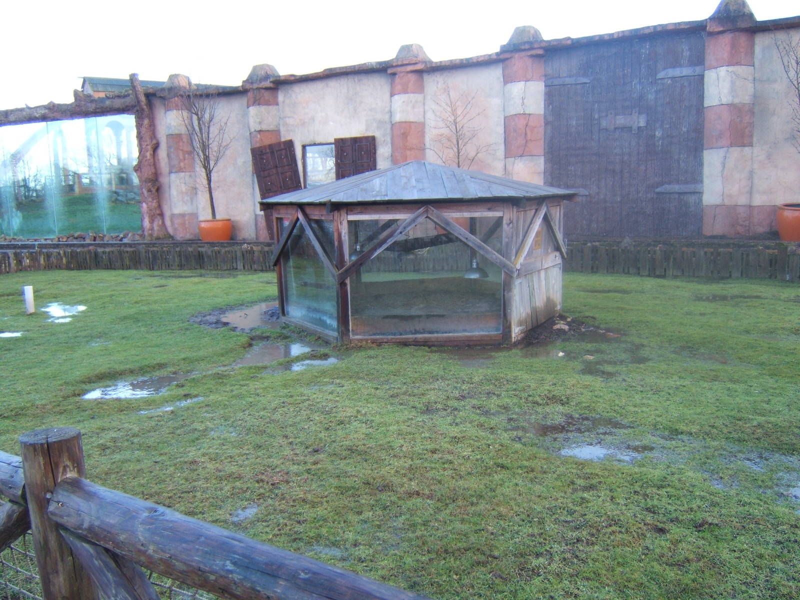 View of Sulcatta Tortoise House