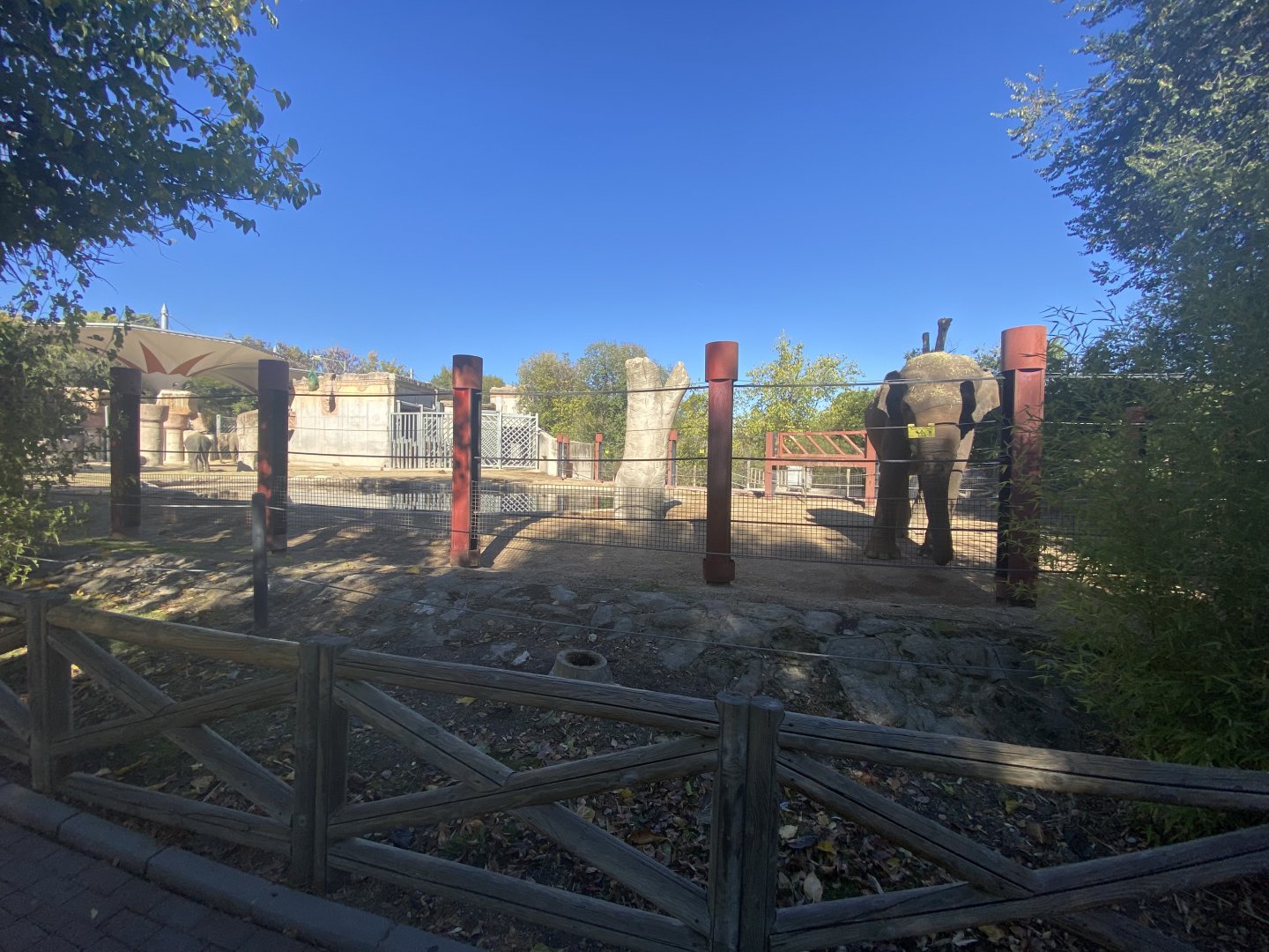 View of Sumatran elephant enclosure