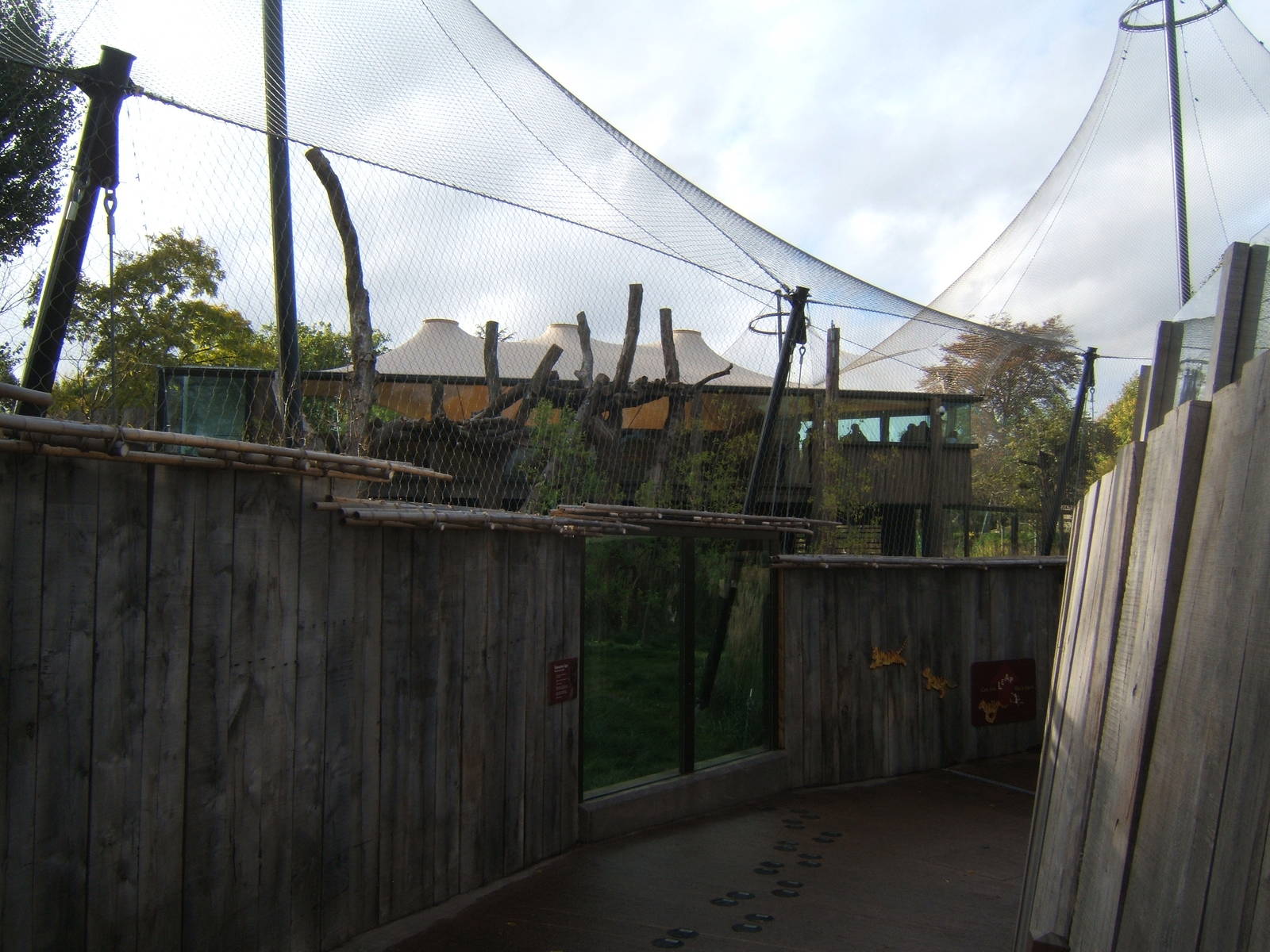 View of Sumatran Tiger enclosure