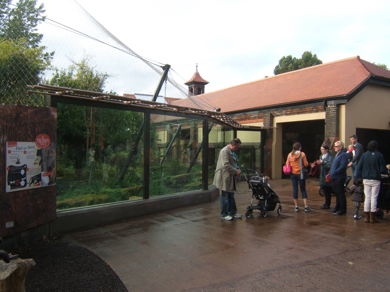 View of Sumatran Tiger enclosure