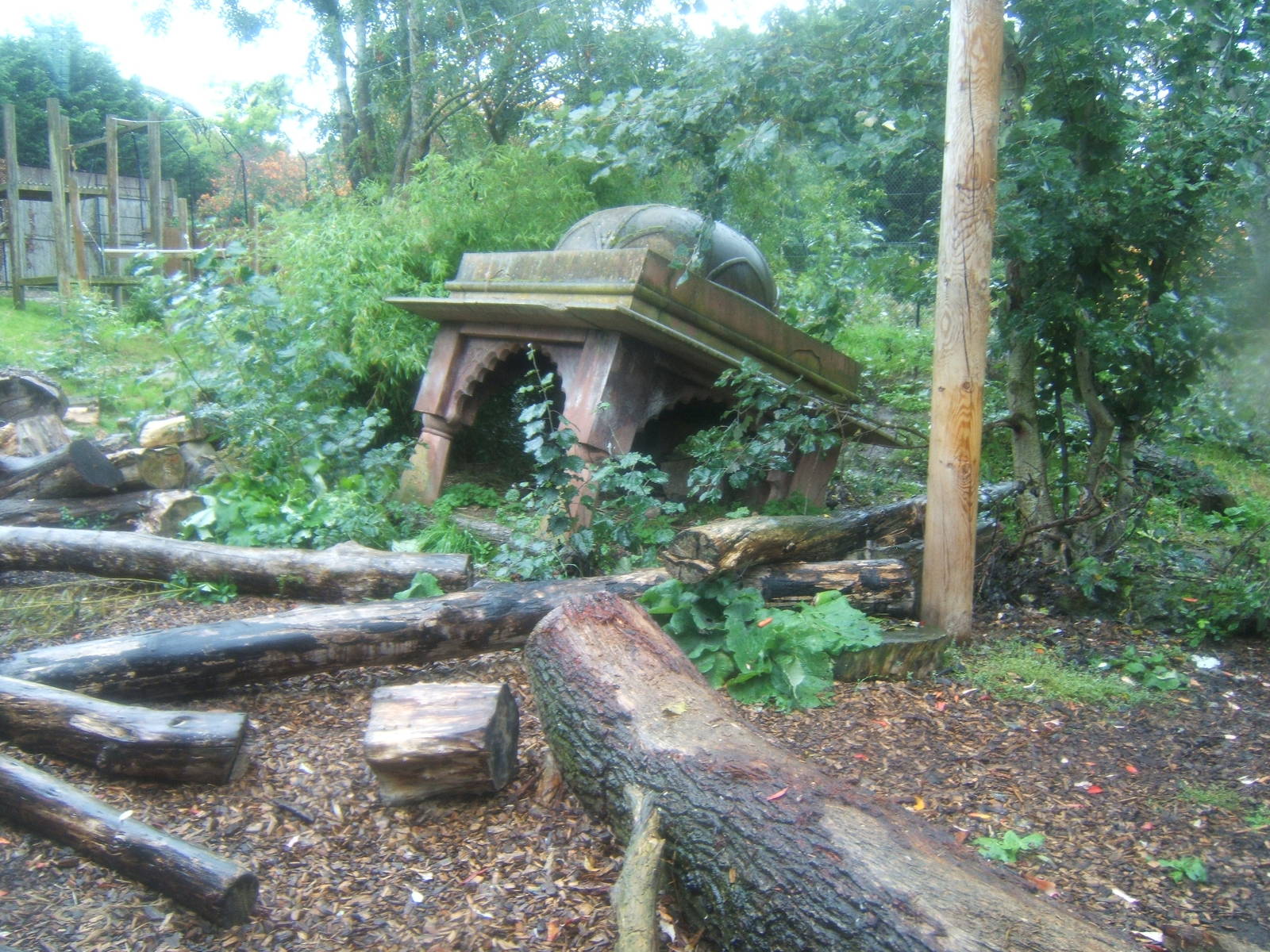 View of Sumatran Tiger enclosure