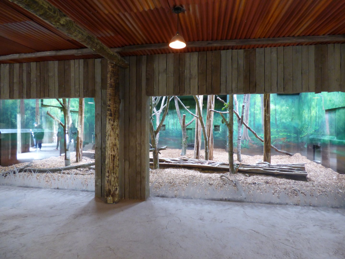 View of Sun Bear Indoor