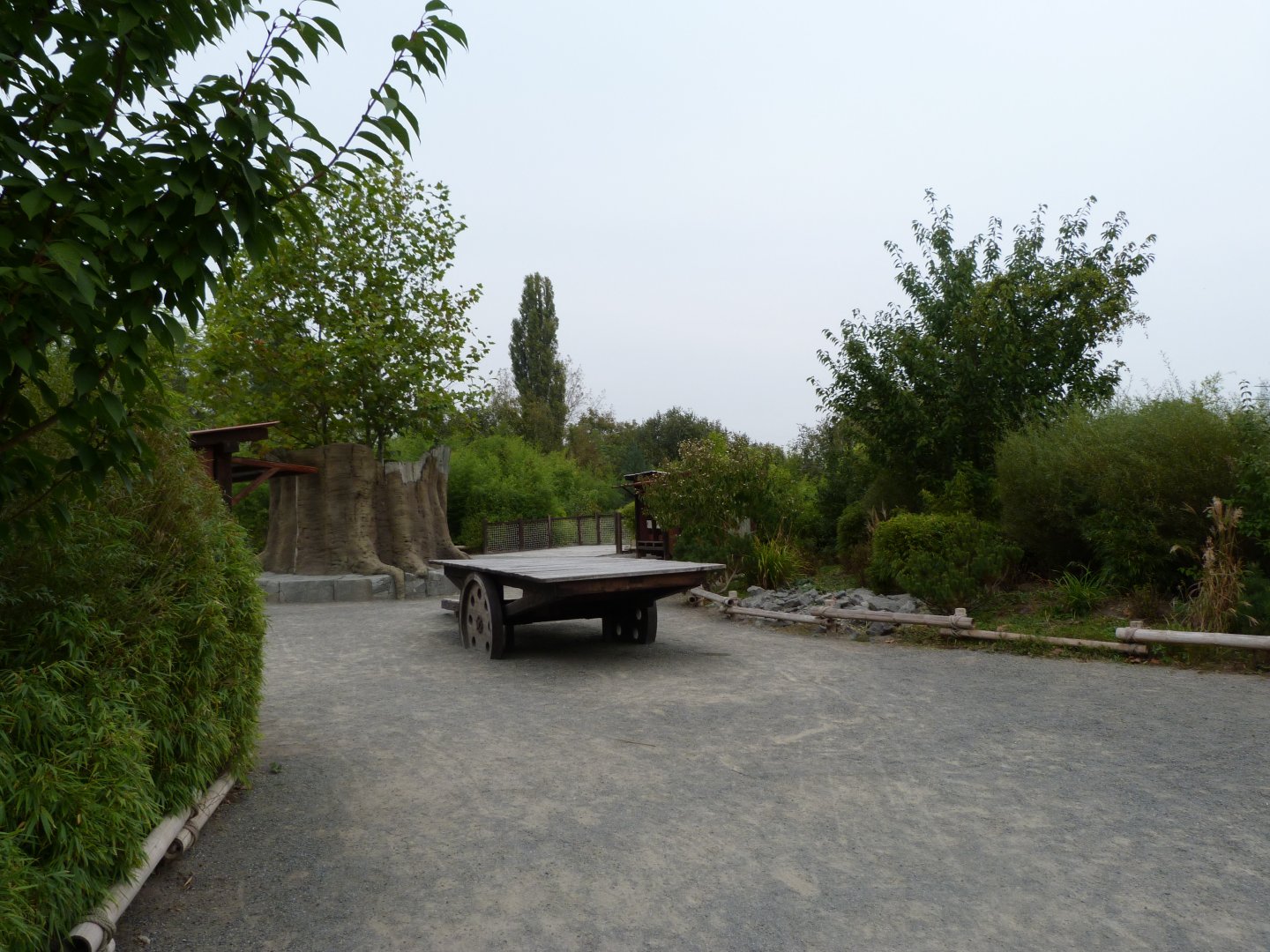 View of "Takin Valley" -Tierpark Berlin (2024)