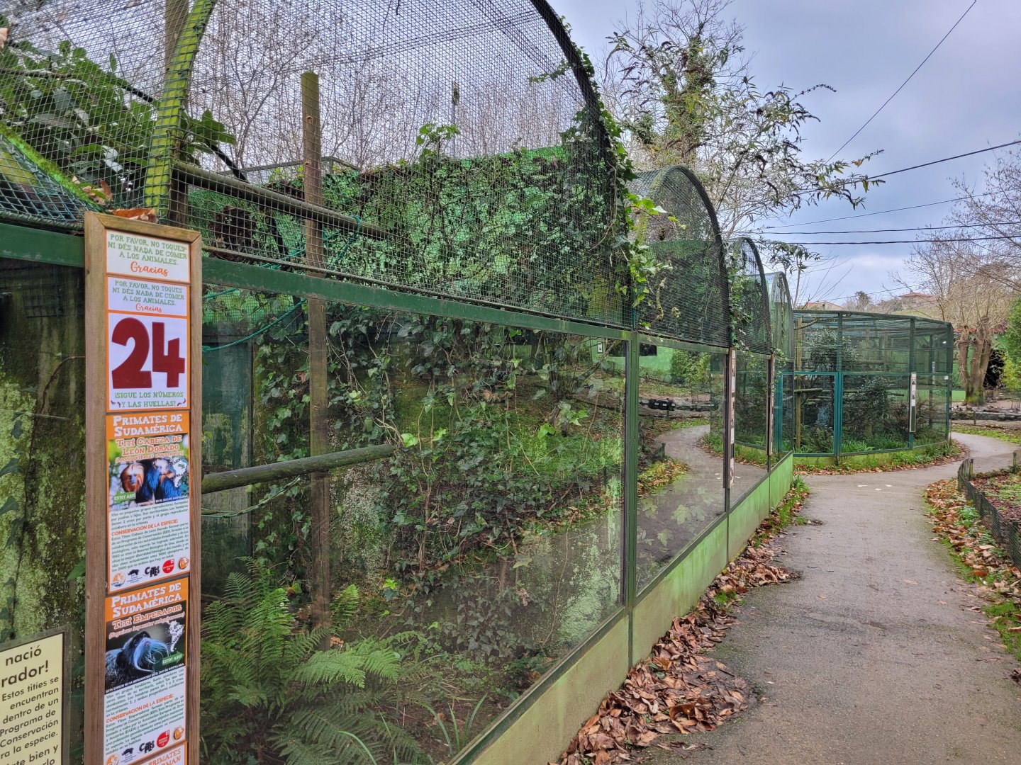 View of tamarin and marmoset enclosures -Zoo de Santillana del Mar (2023)