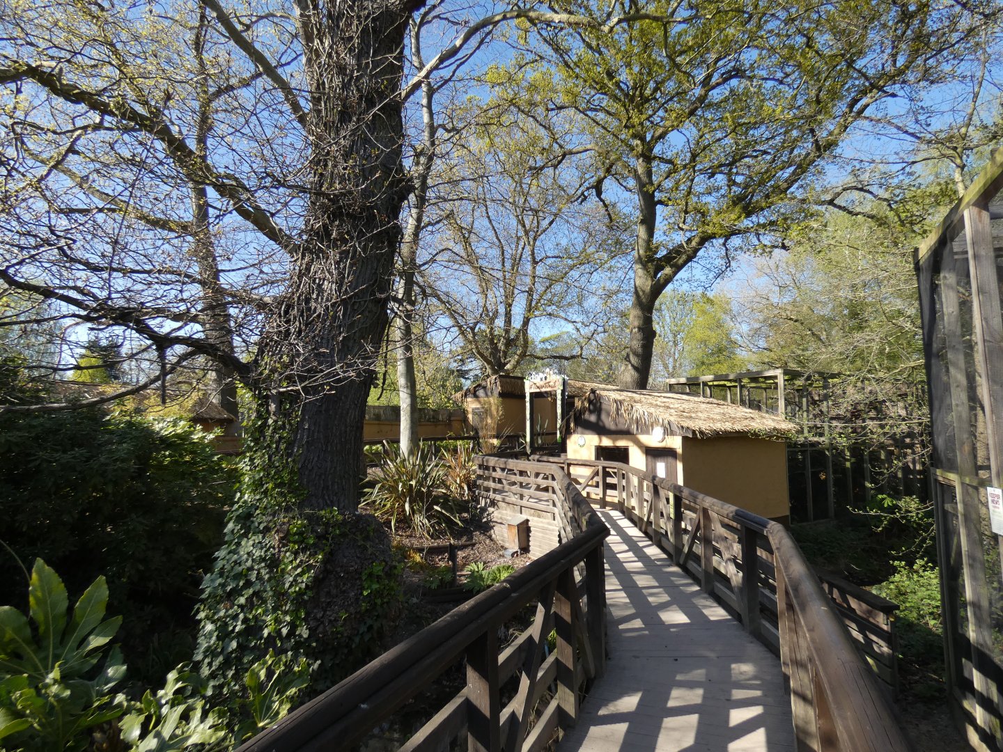View of Tamarin Trail
