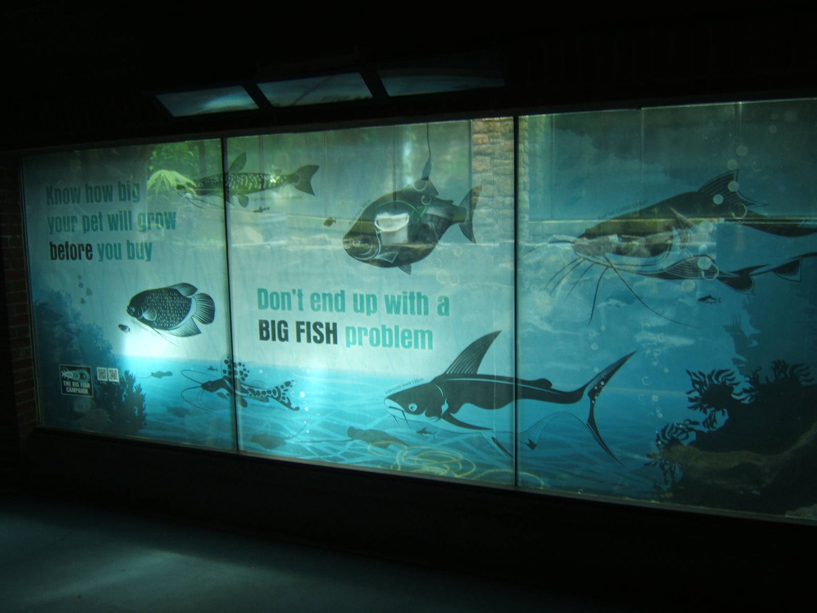 View of tank under refurb