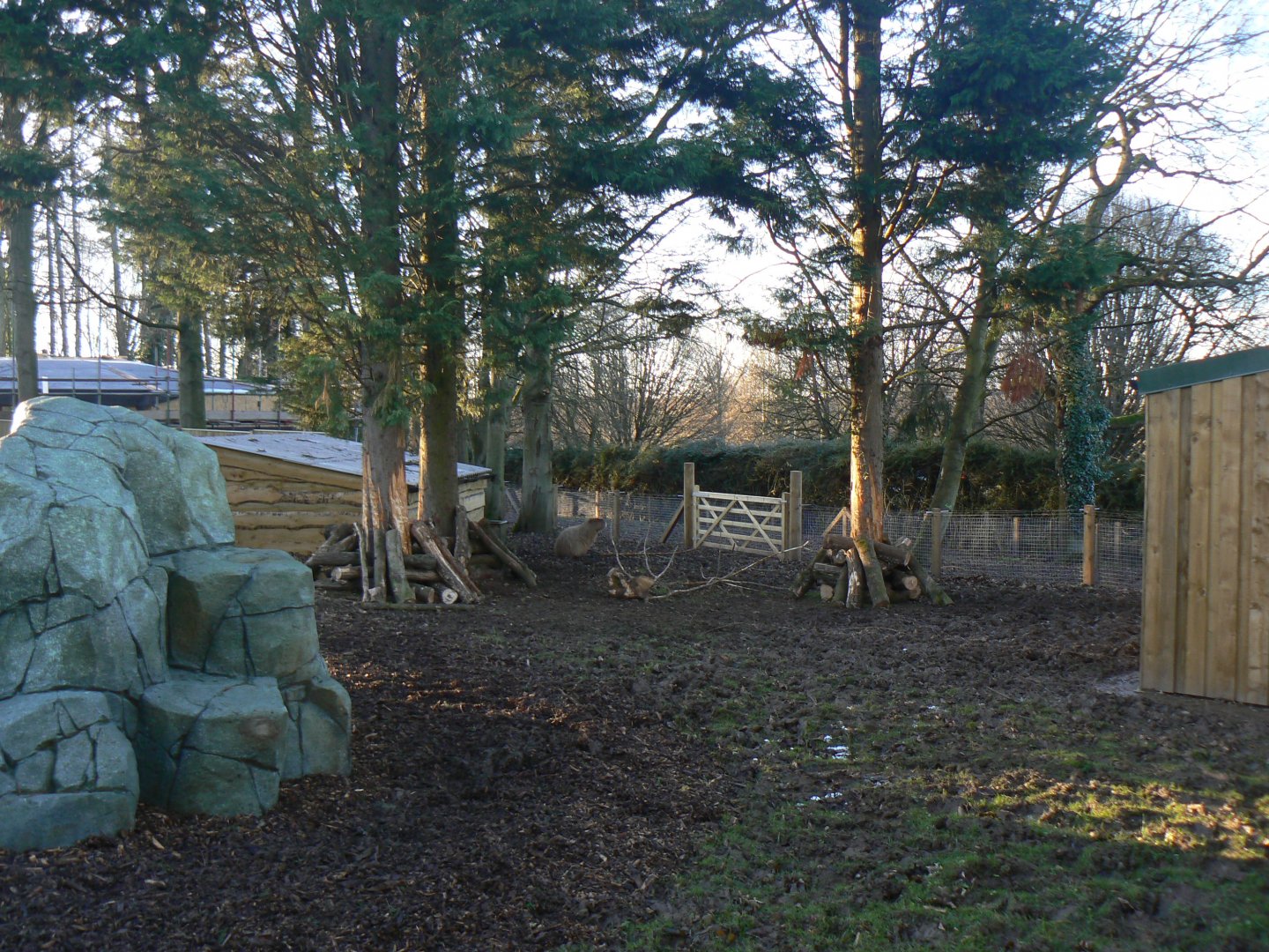 View of Tapir and Capybara Enclosure - 7 January 2018