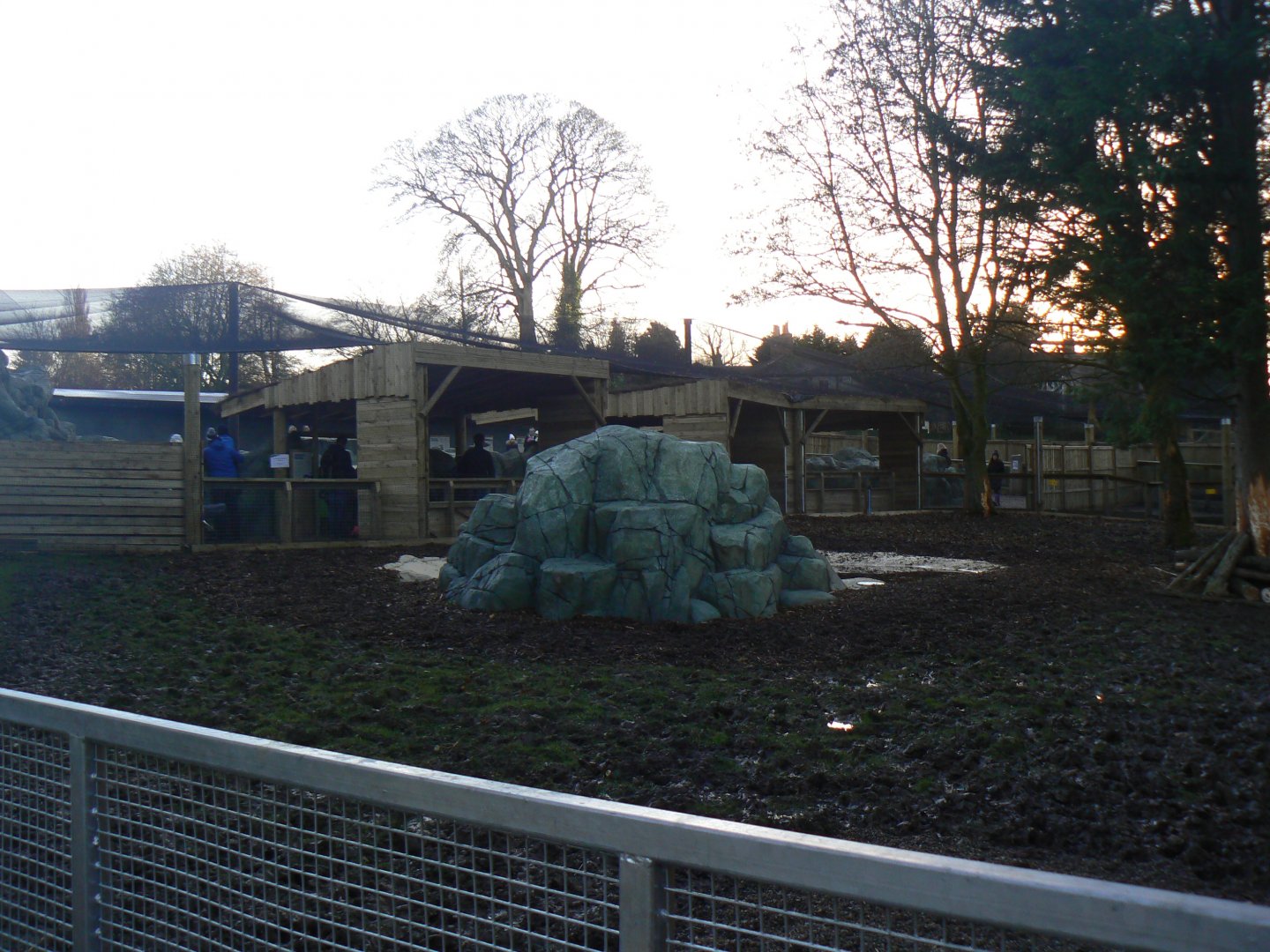 View of Tapir and Capybara Enclosure - 7 January 2018