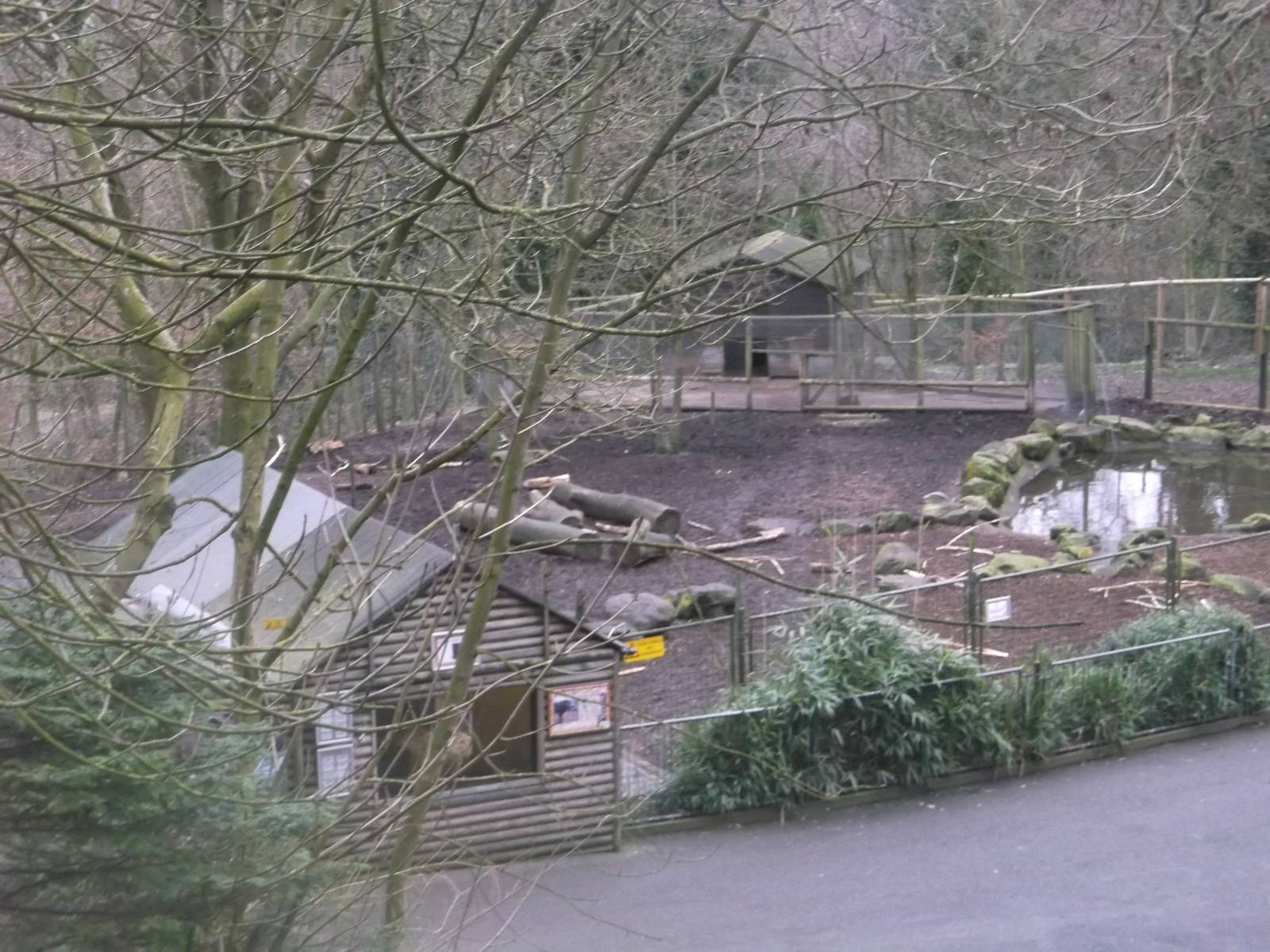 View Of Tapir Enclosure