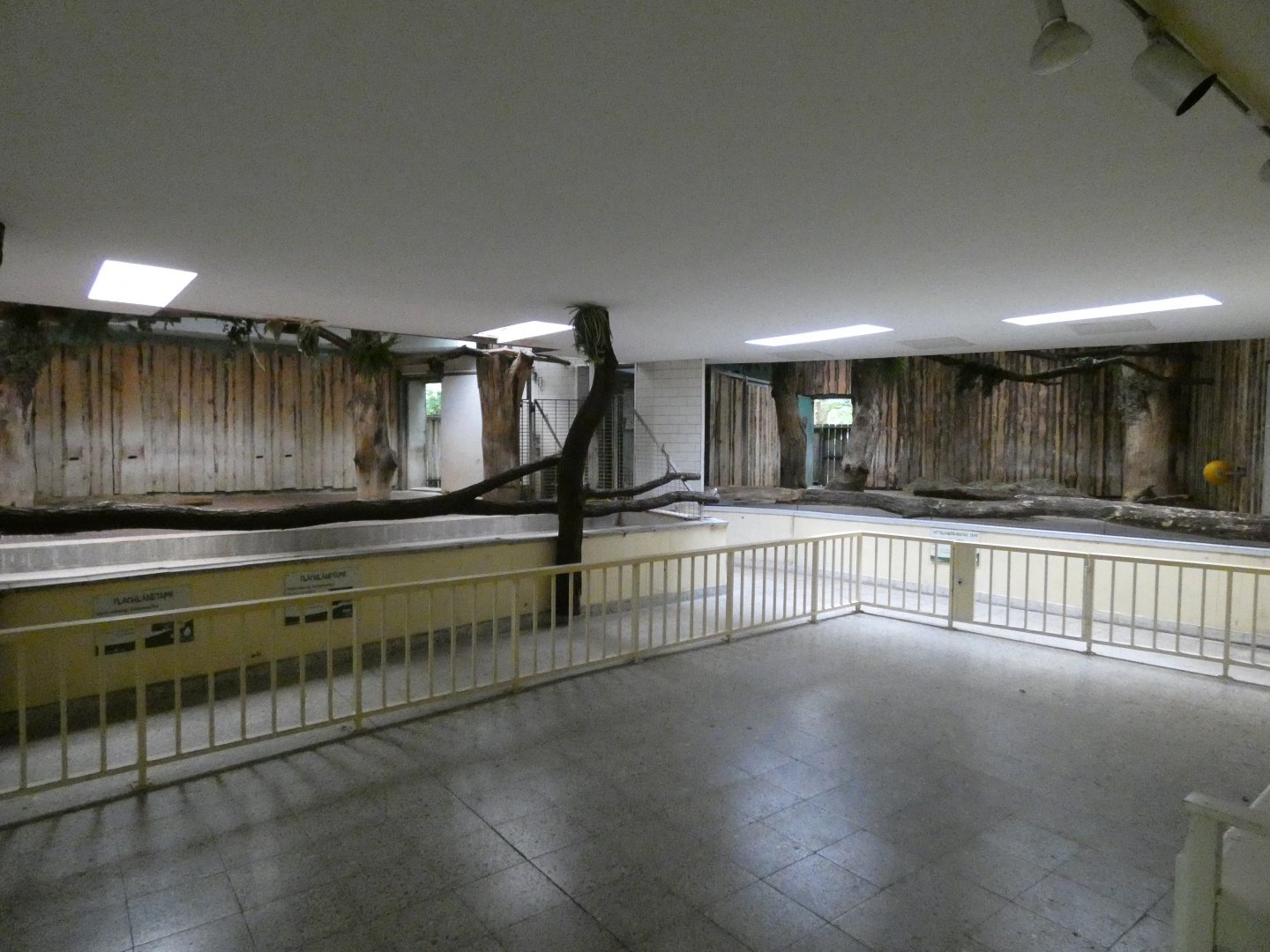 View of Tapir Indoors