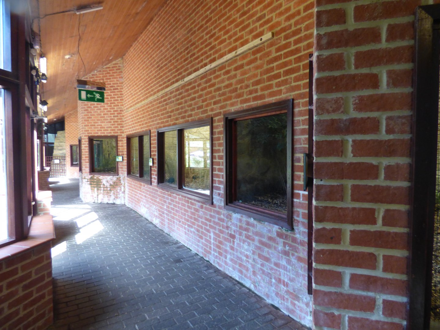 View of Temperate House