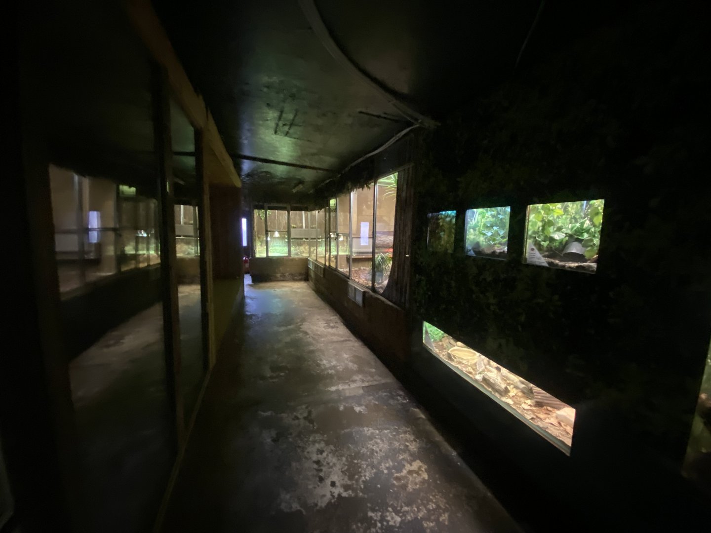 View of terrariums 140923