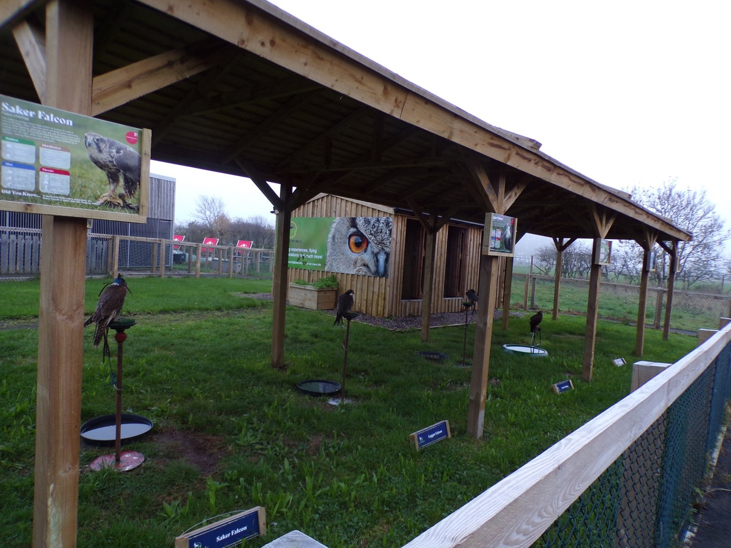 View of tethered bird display