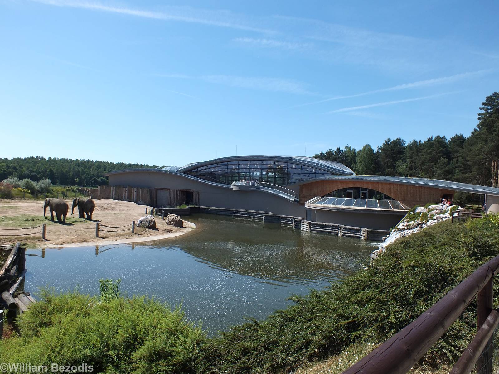 View of the African Elephant Building