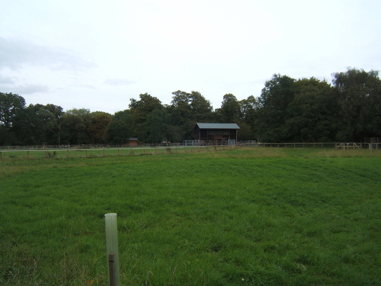 View of the African Paddock