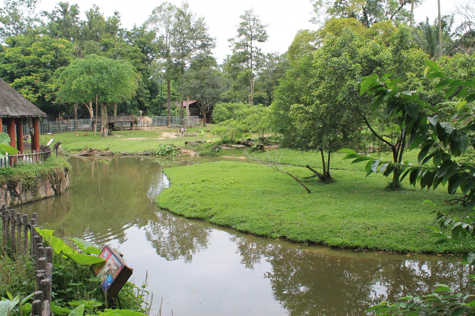 view of the African Savannah exhibit