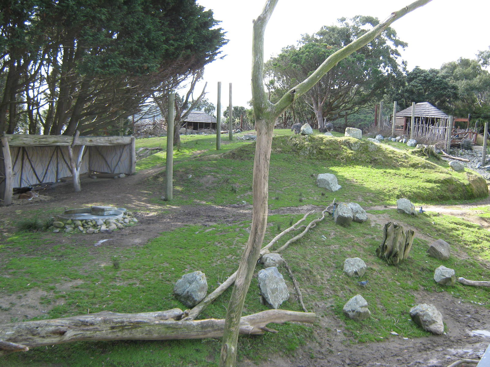 view of the African Savannah