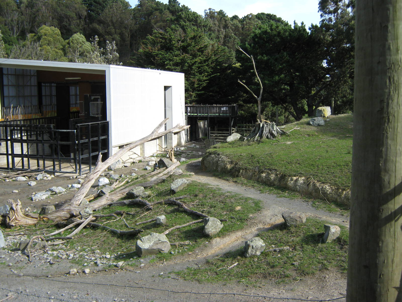 view of the African Savannah