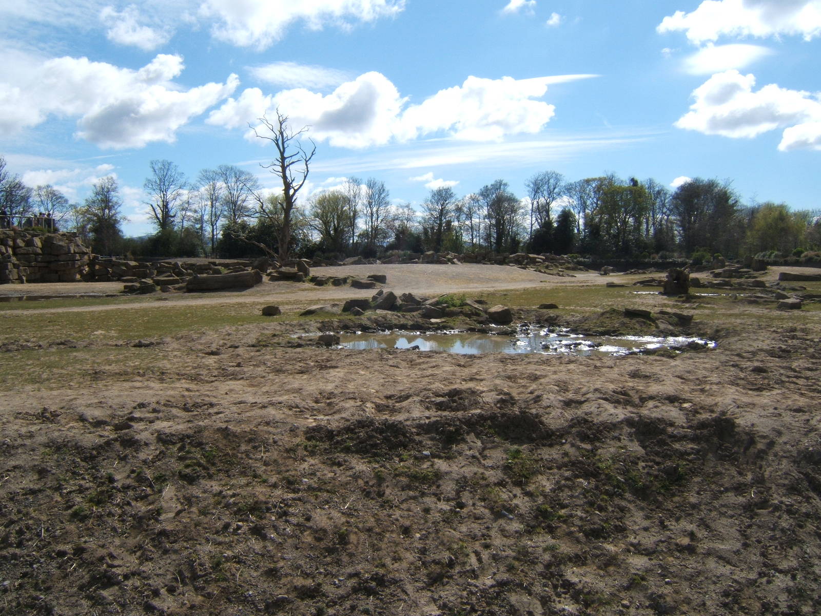 View of the African Savannah